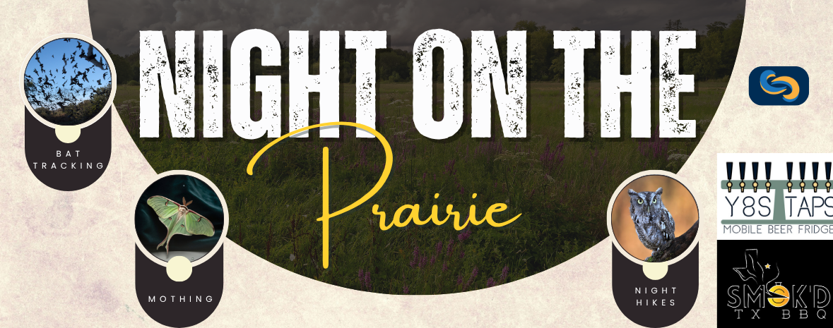Night on the Prairie