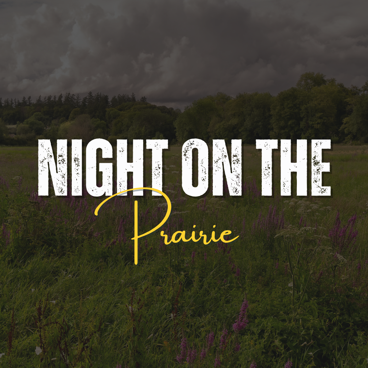 Night on the Prairie - logo